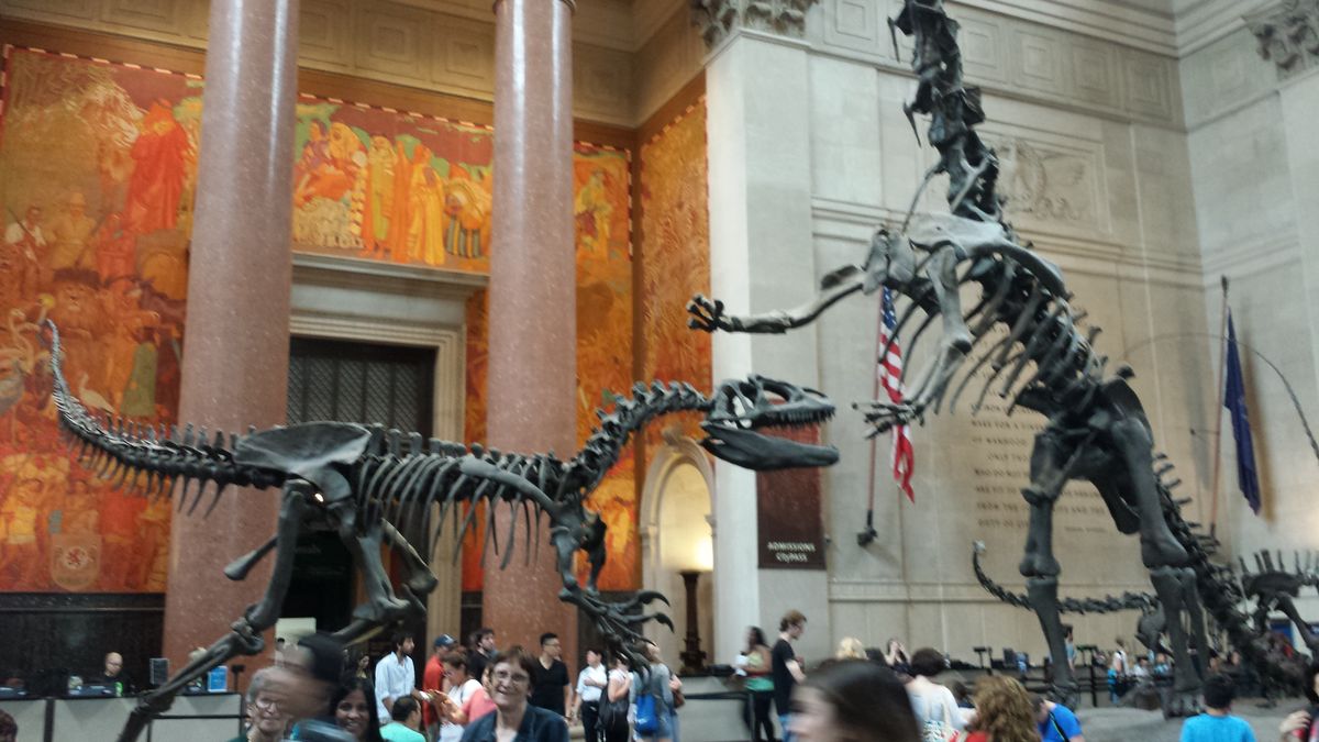 American Museum of Natural History